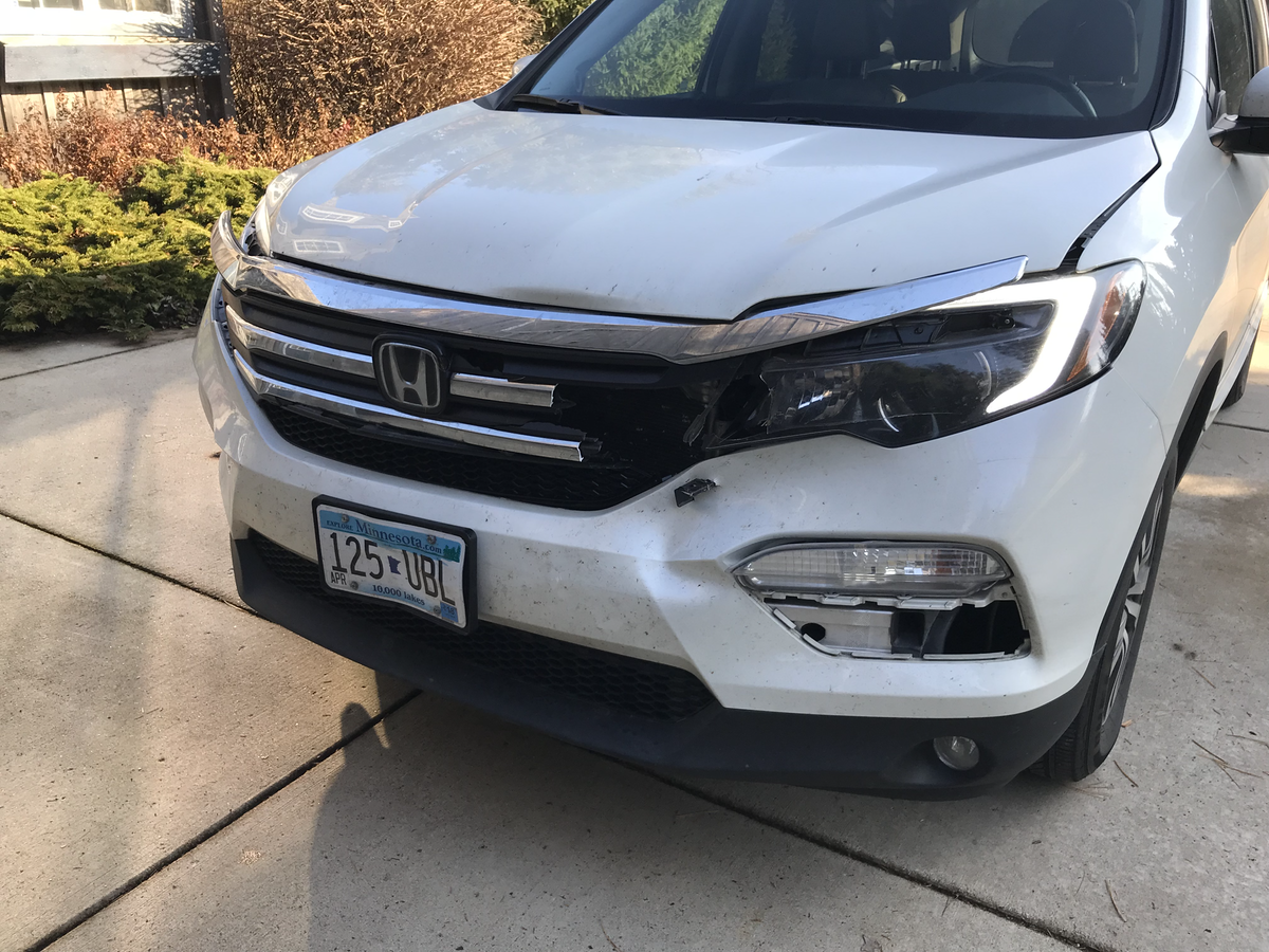 Honda Damage after Deer
Strike