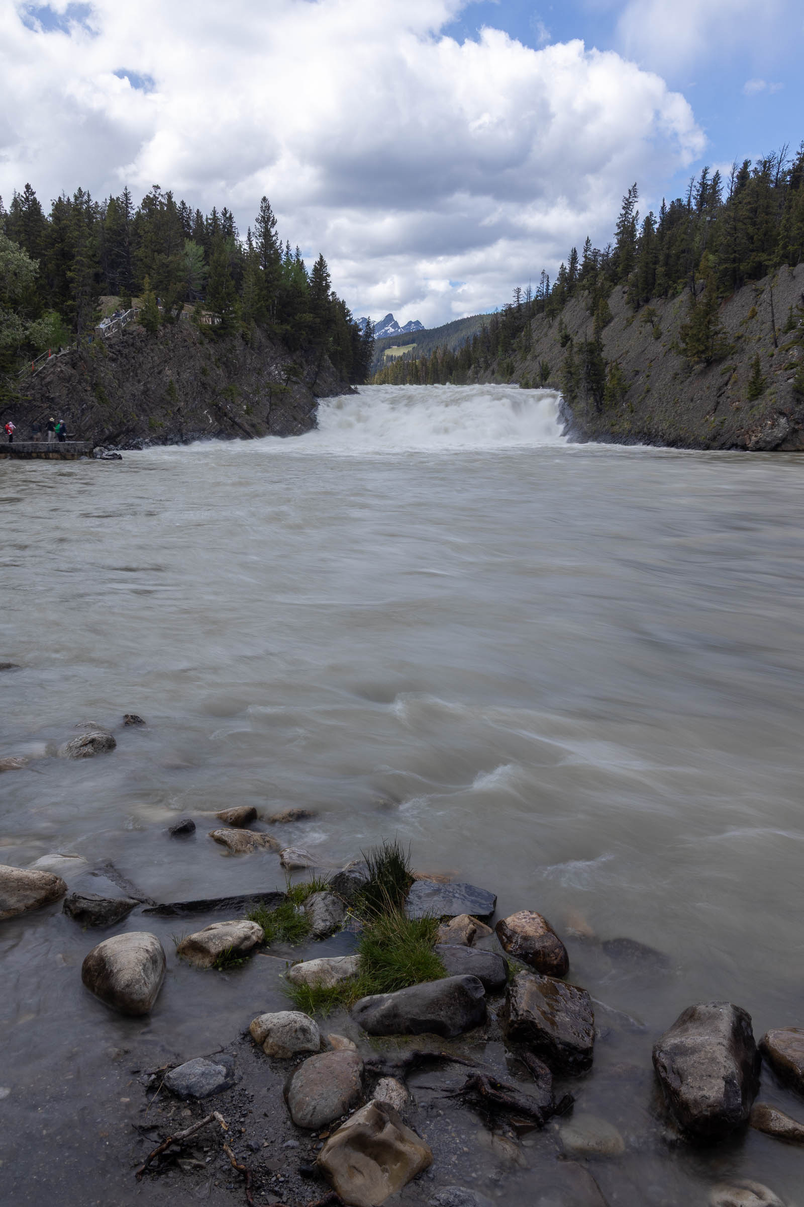 A river flows through a rocky landscape with a backdrop of trees and mountains under a cloudy sky.